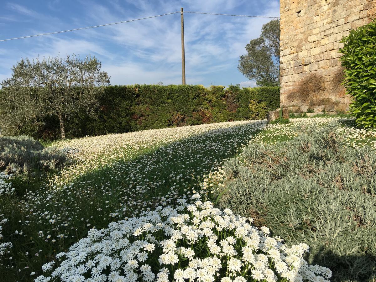 Torre Di Ponzano Konuk evi Barberino di Val dʼElsa Dış mekan fotoğraf